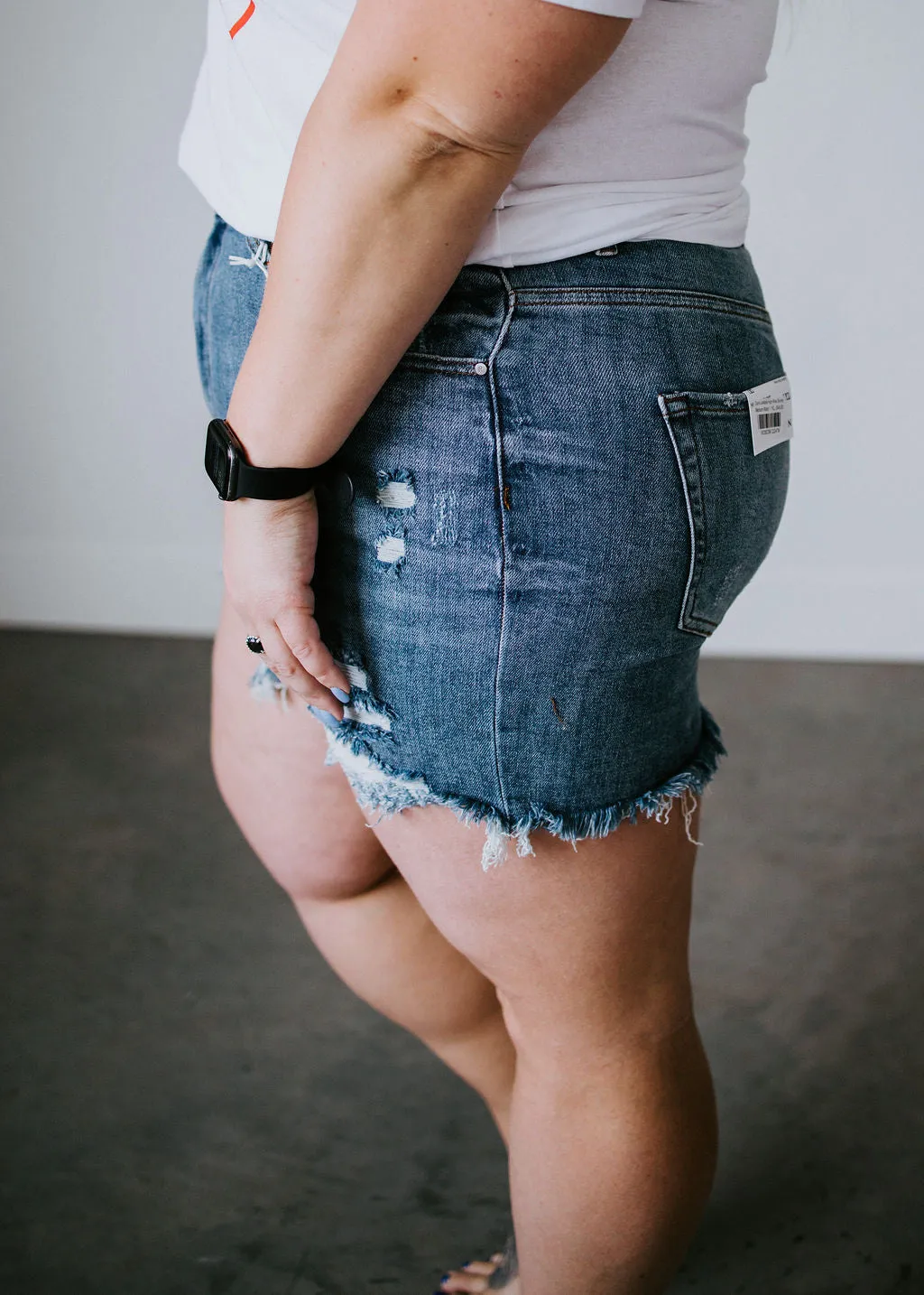 Curvy Jordana High Rise Shorts