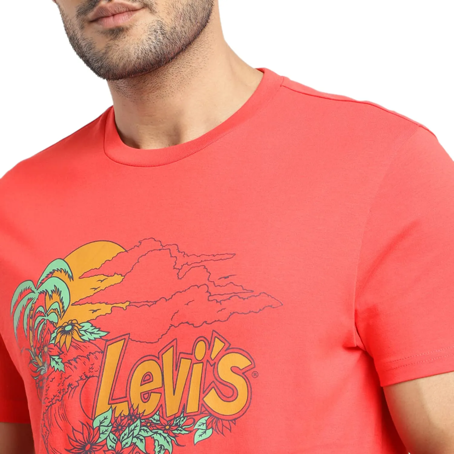 Levi's Men's Graphic Regular Fit T-Shirt (16960-0932_Poppy Red L)