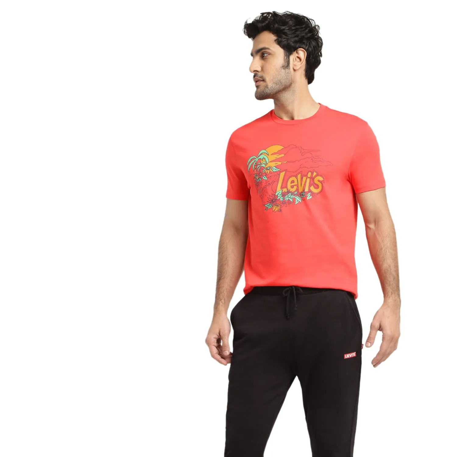 Levi's Men's Graphic Regular Fit T-Shirt (16960-0932_Poppy Red L)